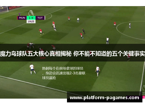 魔力鸟球队五大核心真相揭秘 你不能不知道的五个关键事实